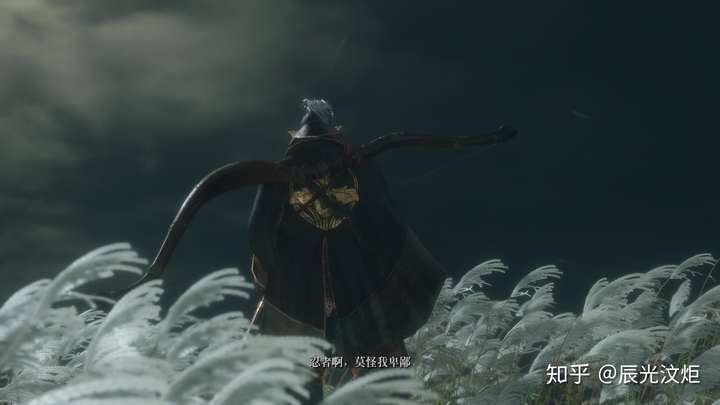 真tm卑鄙,你想把皇子怎么样?而且连成就也不给