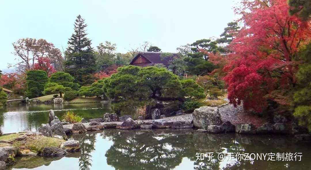 身处绿意旺盛的夏 但红叶漫天好像近在眼前 知乎