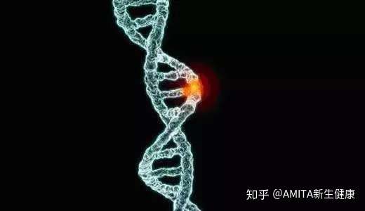 知乎专栏