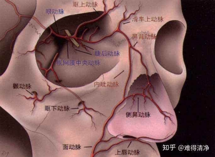 肉毒素可以自己打吗?哪个牌子的肉毒素安全行?