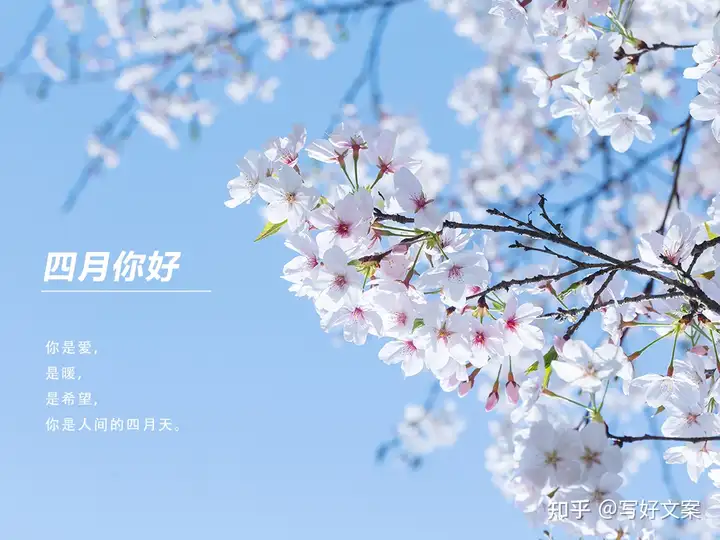 3月再见，4月你好！四月发朋友圈的唯美文案15句