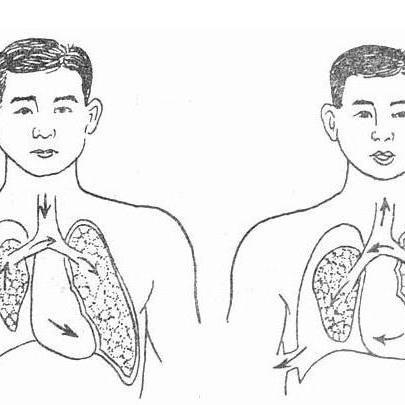 上网一查:肺大疱跟肺炎,肺气肿,肺结核有关系;肺大疱破了会引起气胸
