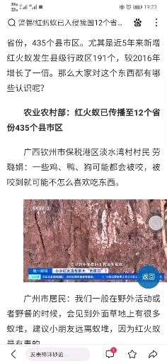 如何消灭红蚂蚁的方法 v2-666de660fd38730408ba4cb2ba1c4ba7_720w.jpg?source=1940ef5c