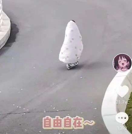 比心林晚晚图片