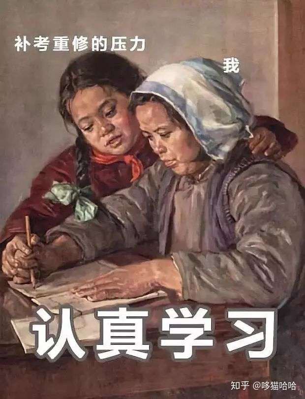 有哪些关于学习的沙雕表情包?