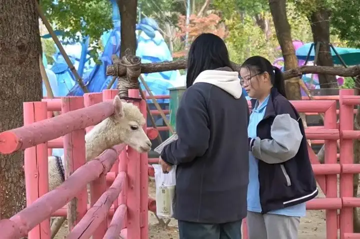 秋日研学游 欢乐共此时 | 塘栖校区2024秋季研学活动(图24) 秋日研学游 欢乐共此时 | 塘栖校区2024秋季研学活动(图24)