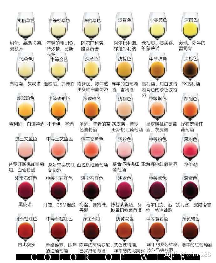 如何成为葡萄酒品酒师 葡萄酒品鉴之观色 知乎