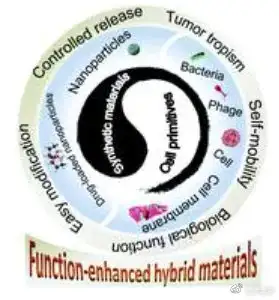 近日,武汉大学张先正教授课题组等研究人员在著名权威杂志《chemical