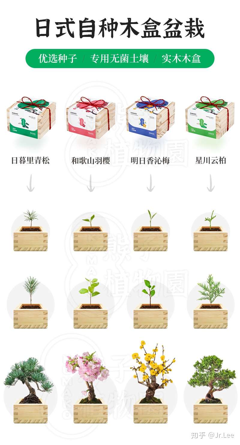 寻找试用官啦 也聊聊我最近都干嘛去了 知乎