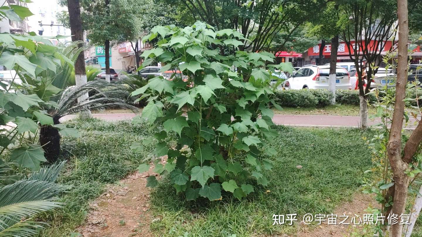 我对生命与宇宙的思考 知乎