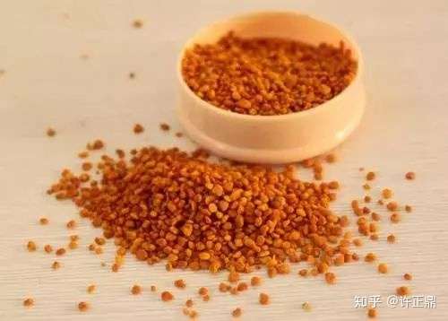 蜂花粉真厉害 竟然可以治12种疾病 知乎