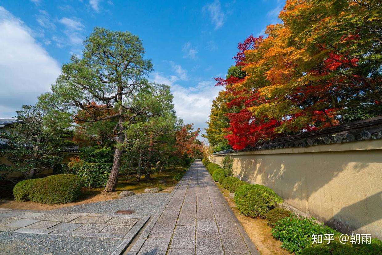 12j 京都 大德寺塔头 芳春院 上 知乎