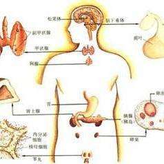 什么原因导致电解质紊乱的症状 v2-695b45e5e890a2076fcab0432b9cb61b_qhd.jpg