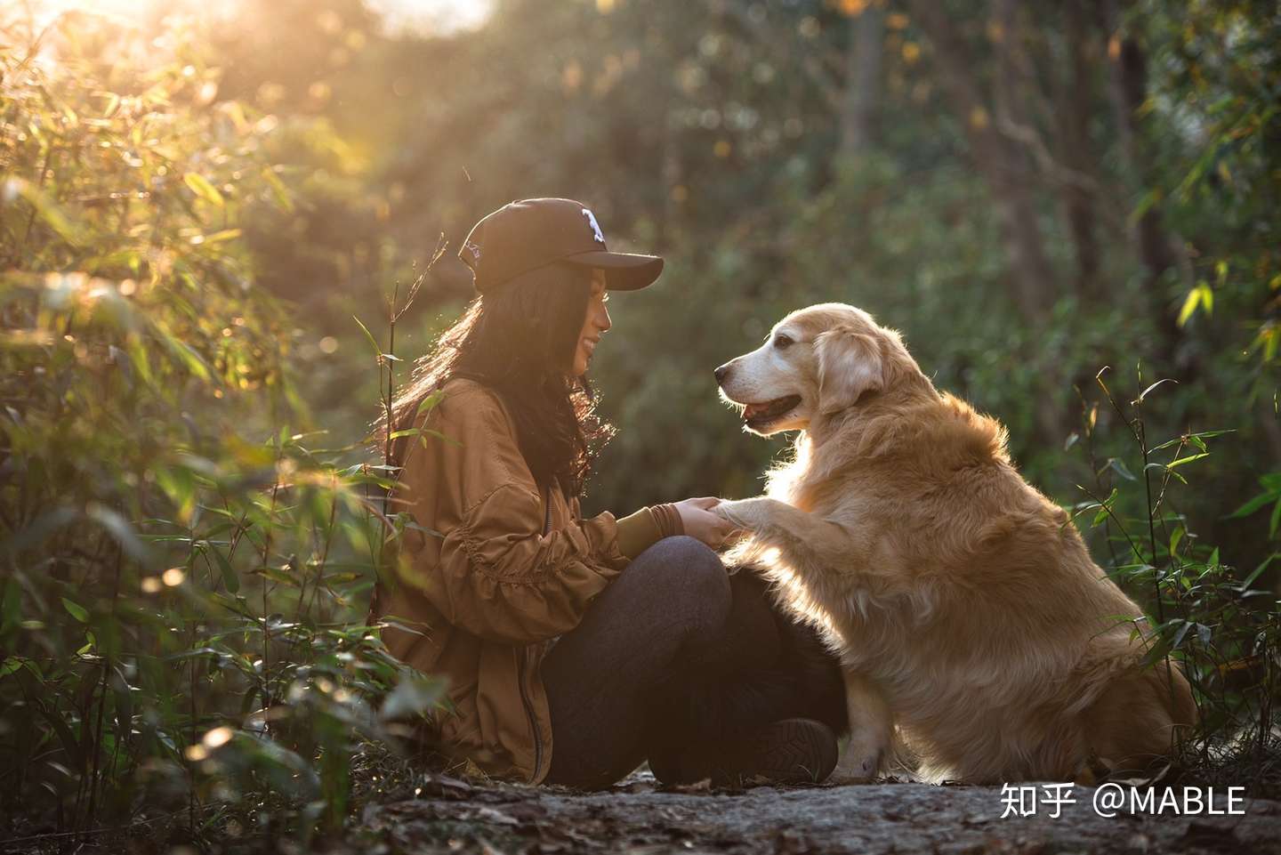 养一只狗十几年的体验 鼻腔肿瘤的狗狗 给宠物安乐死是对还是错 希望你能在这里找到答案 知乎