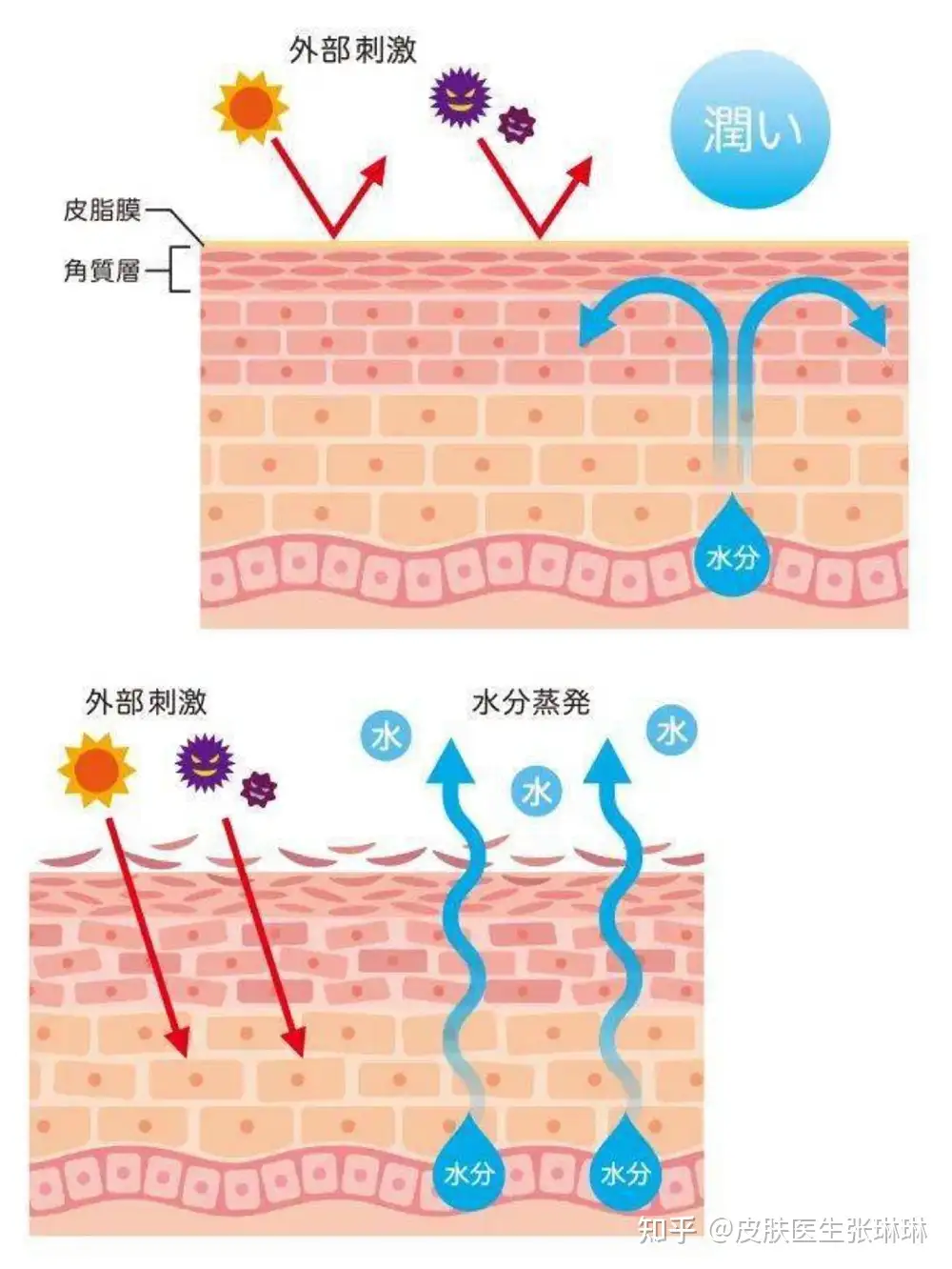 裏 筋 敏感