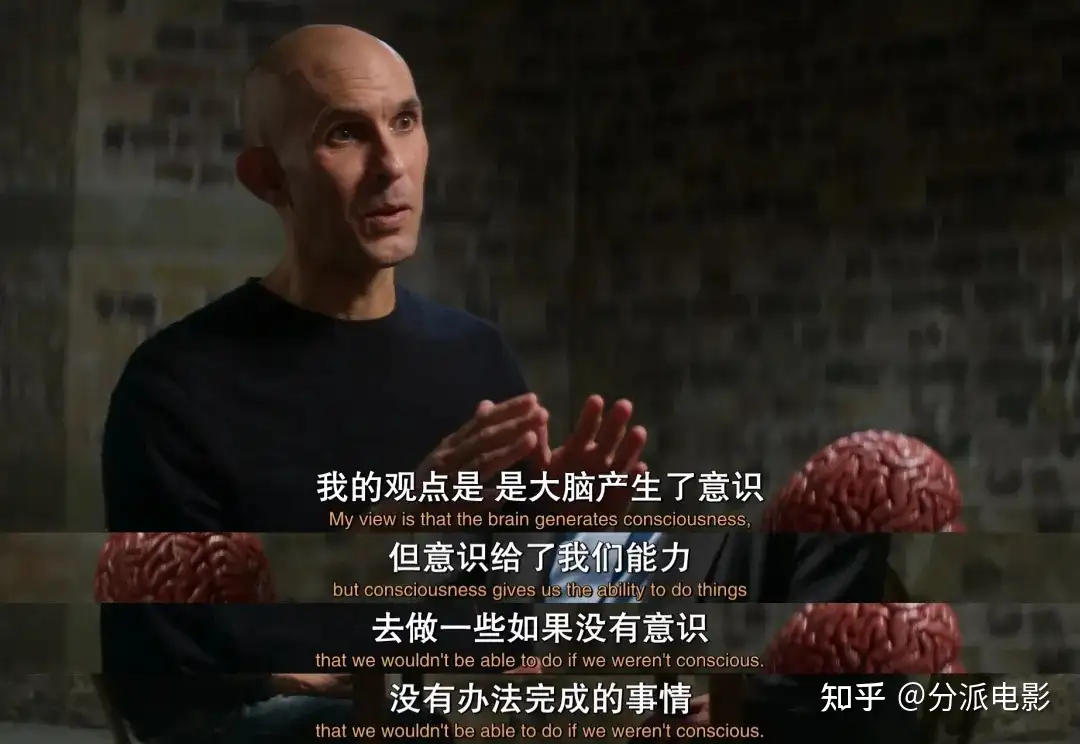 《扯淡生命史》笑到头掉,Netflix最扯纪录片太敢聊!