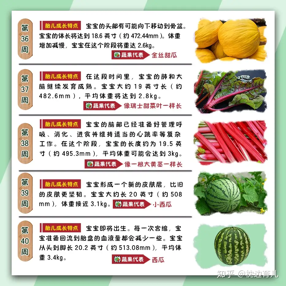 22周的宝宝像小南瓜 40周胎儿大小get 知乎