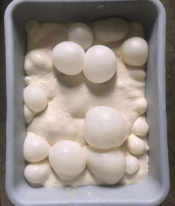 新手如何区分汤种、中种、初种?这2点易忽略!新手和面知识