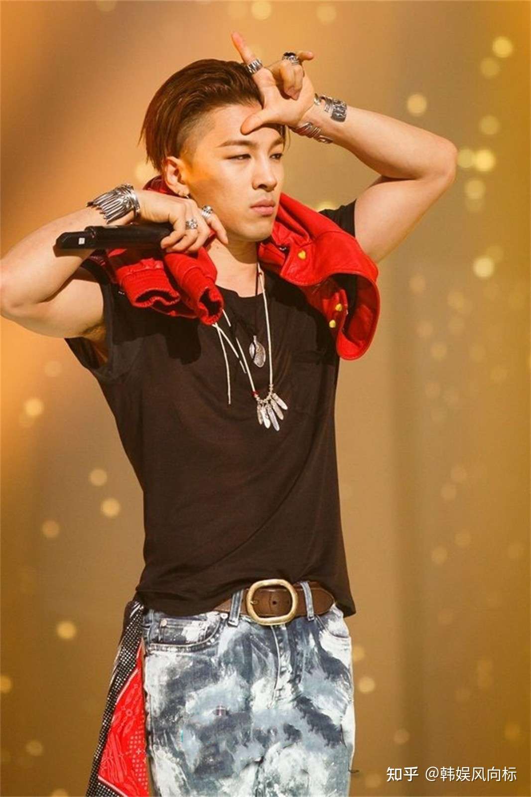 Bigbang Taeyang的妻子 晒小狗雕像引发讨论 难道怀孕了 知乎
