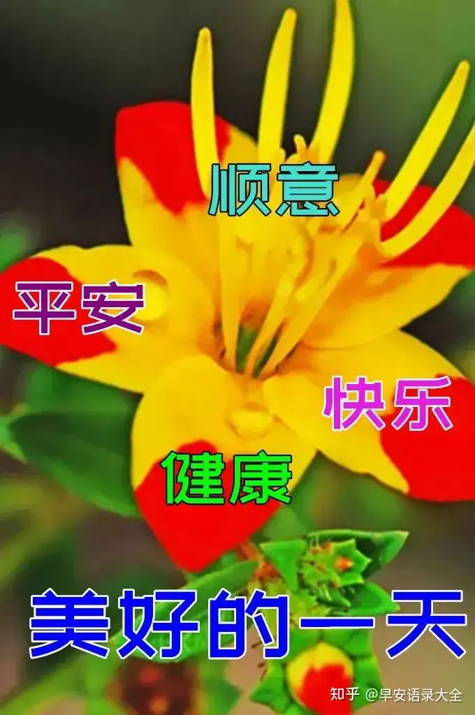 8张最新漂亮早上好图片鲜花带字带祝福语 2022最美春日早安问候祝福鲜花图片带字温馨