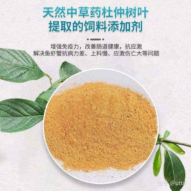 也是快速生长的时期,但是,每年总有那么几个月让养殖朋友们提心吊胆