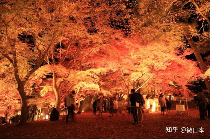 秋夜绵长携手红叶映月光 日本的叶红叶胜地9选 知乎