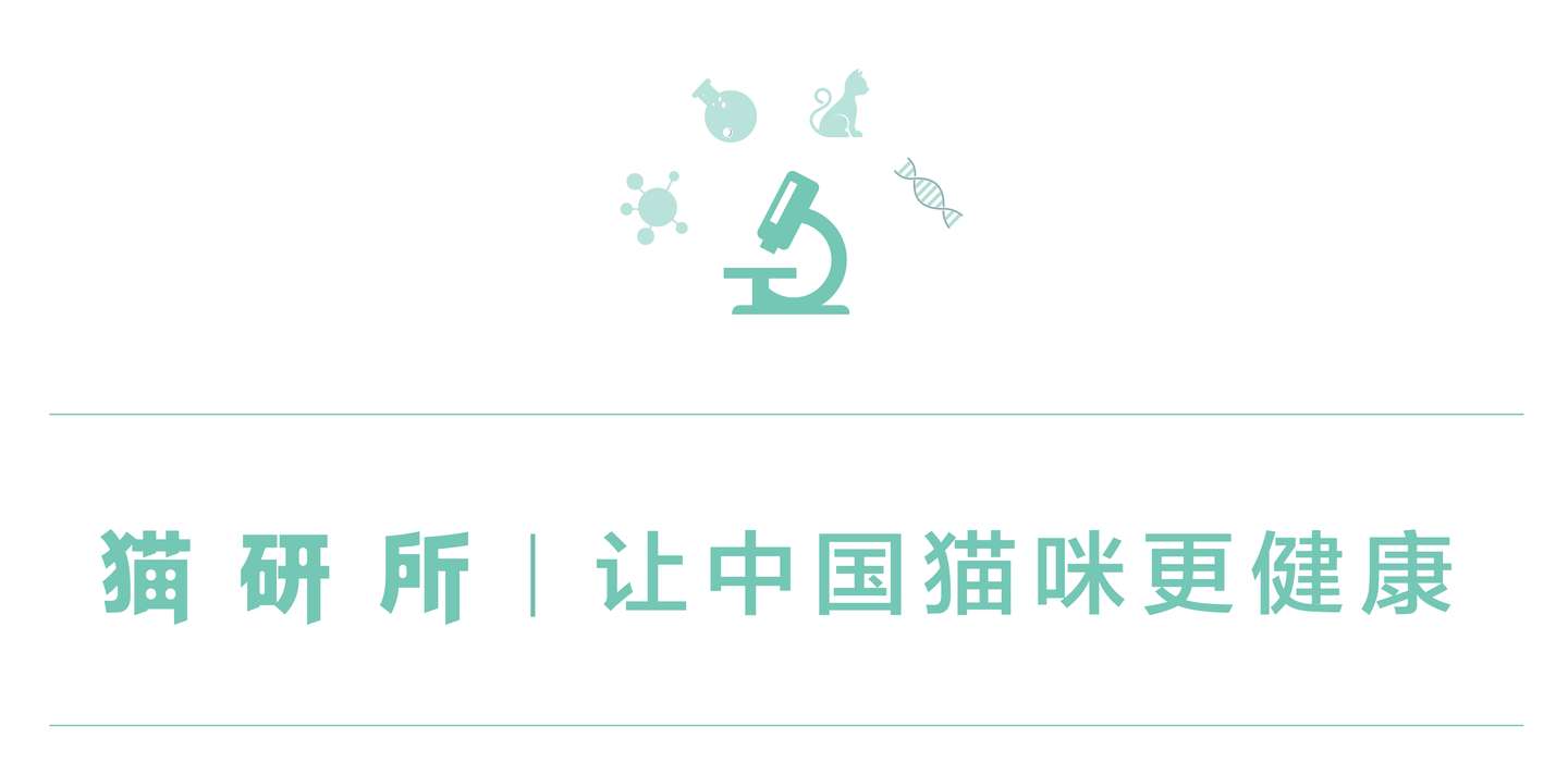 猫咪常见病系列之 猫自发性膀胱炎 诊断治疗篇 知乎