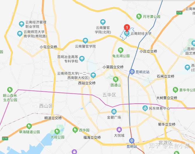 云南财经大学的校园环境如何?