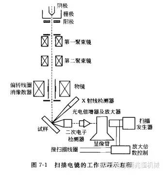 扫描电子显微镜示意图图片