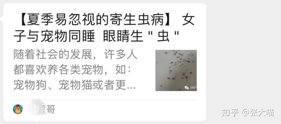 主人请注意 如果猫咪出现这5种表现 就是已经感染寄生虫了 知乎