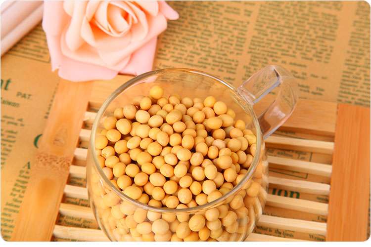 期货品种详解之黄大豆期货 知乎