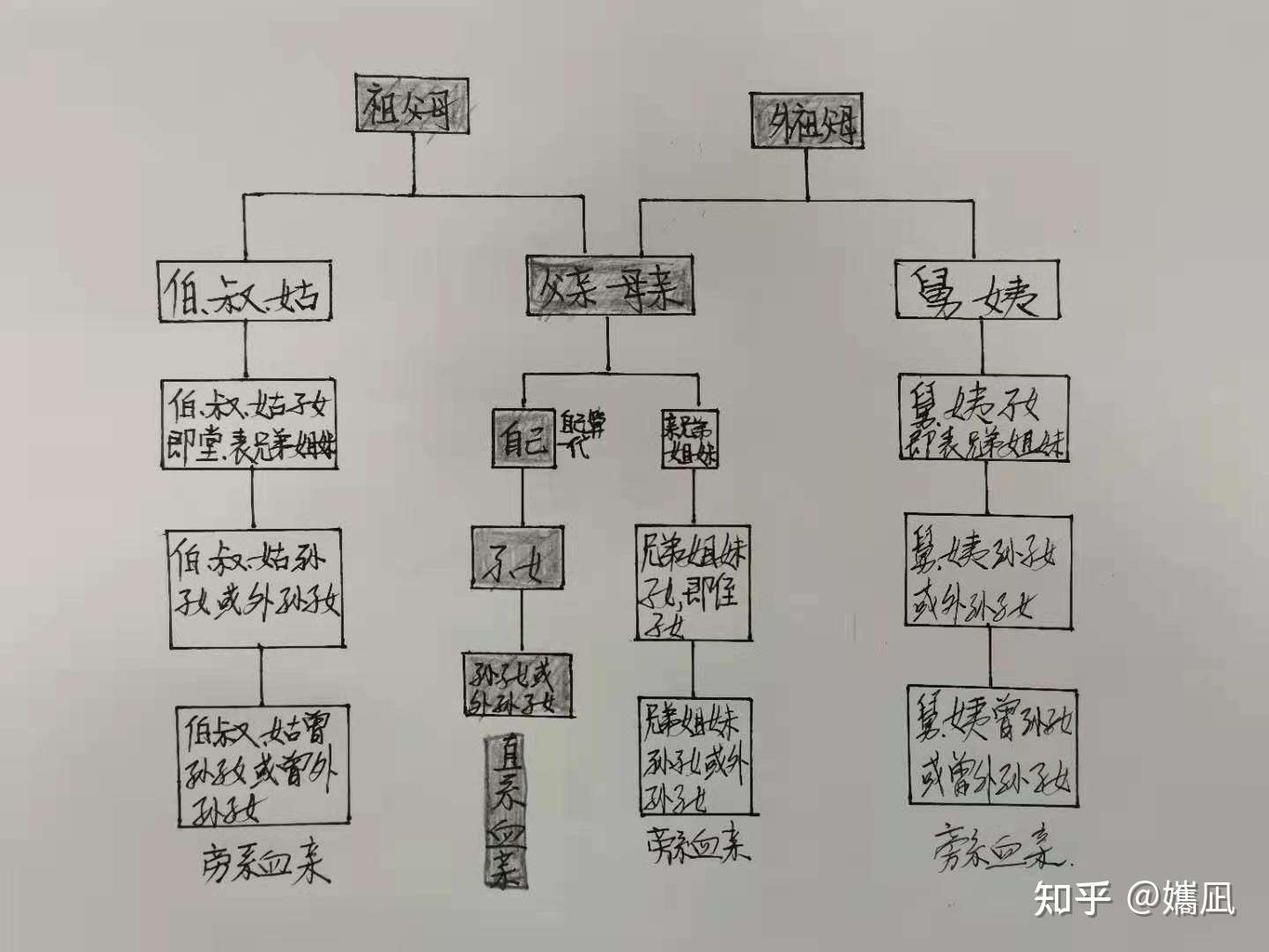 民法典中的直系和三代以内的旁系 知乎