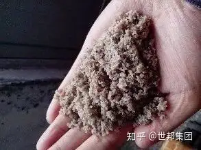 一看就會（沙和砂的區別）機制砂屬于什么砂，(圖2)