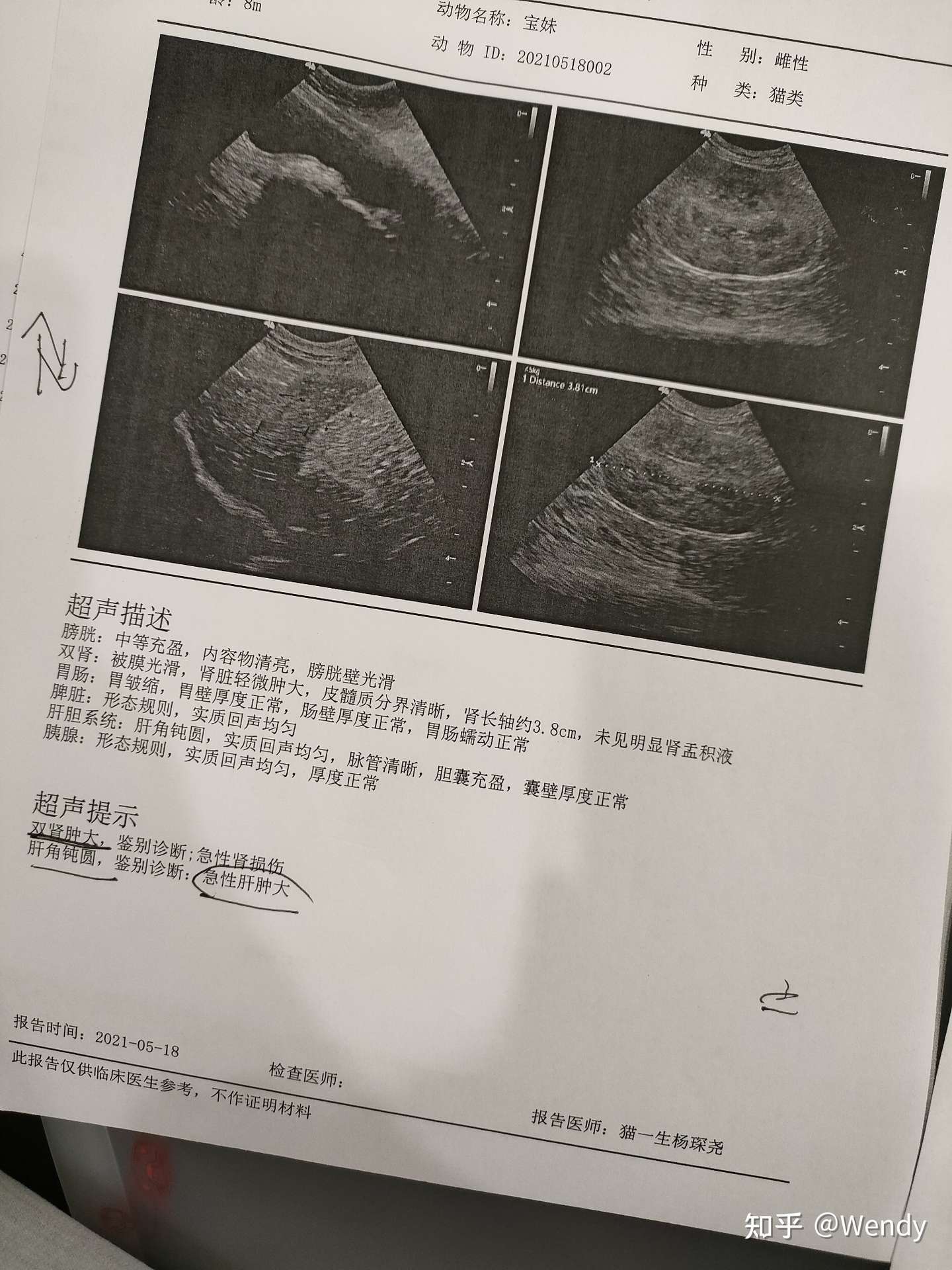 猫肺水肿和急性肾衰治疗记录- 知乎