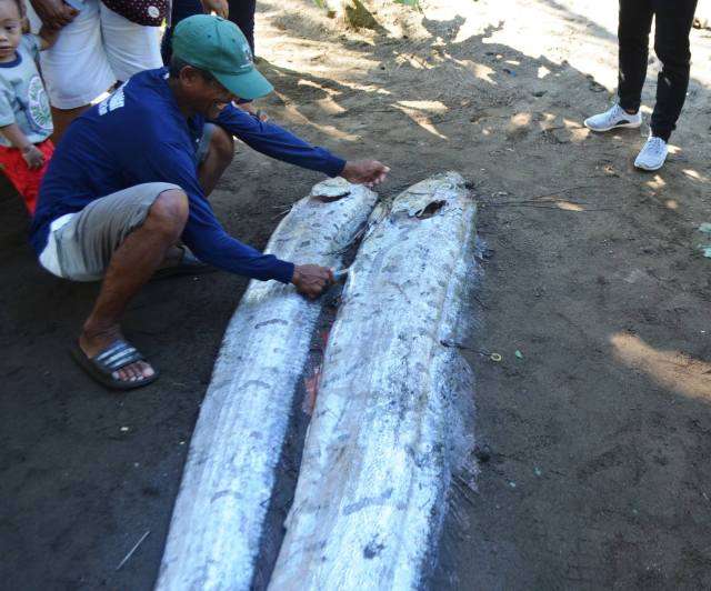 海神宫使者捎来口信 地震来了 知乎