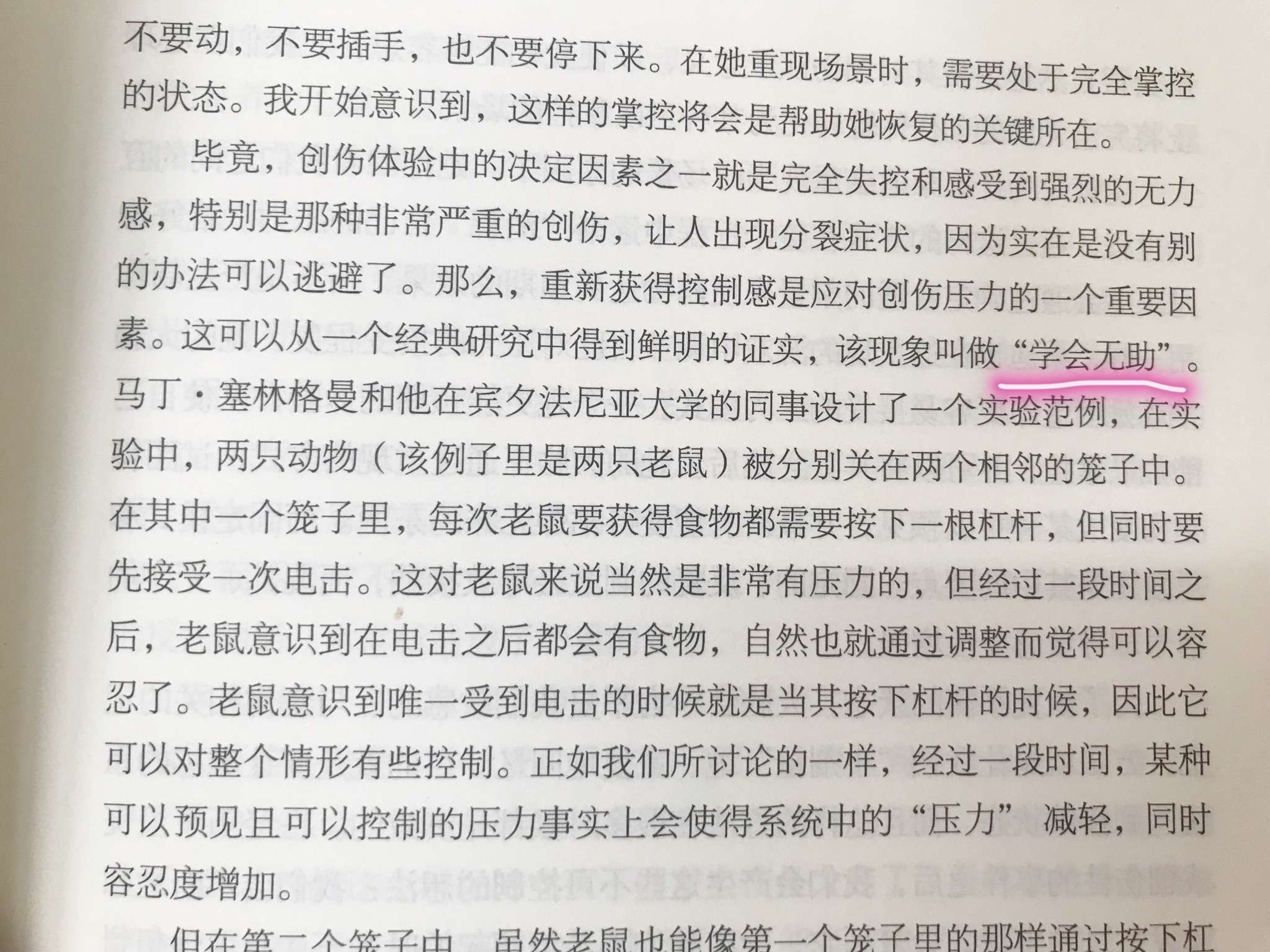 哲学怎么翻译出来(哲学用英语翻译)