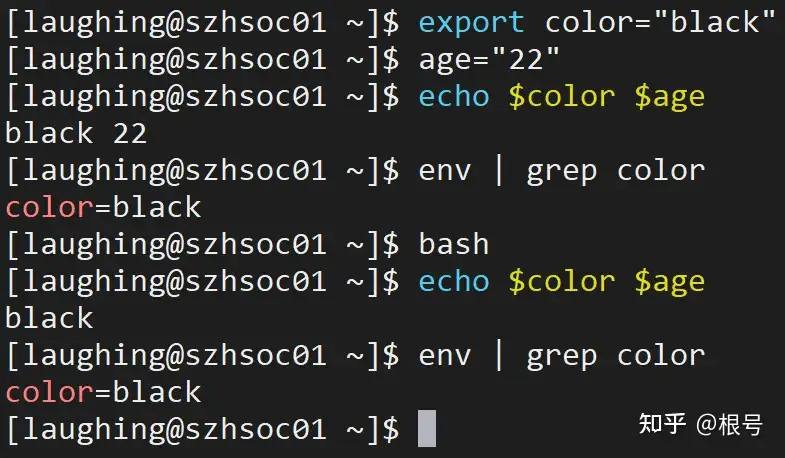 Bash食用指南 知乎