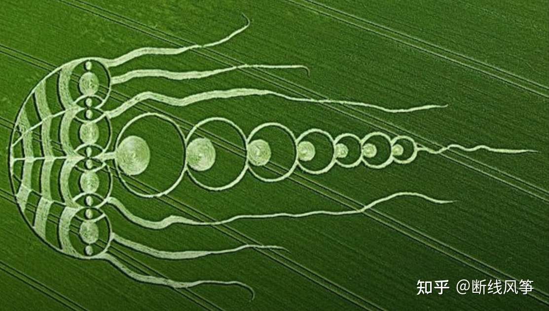 麦田怪圈事件 知乎