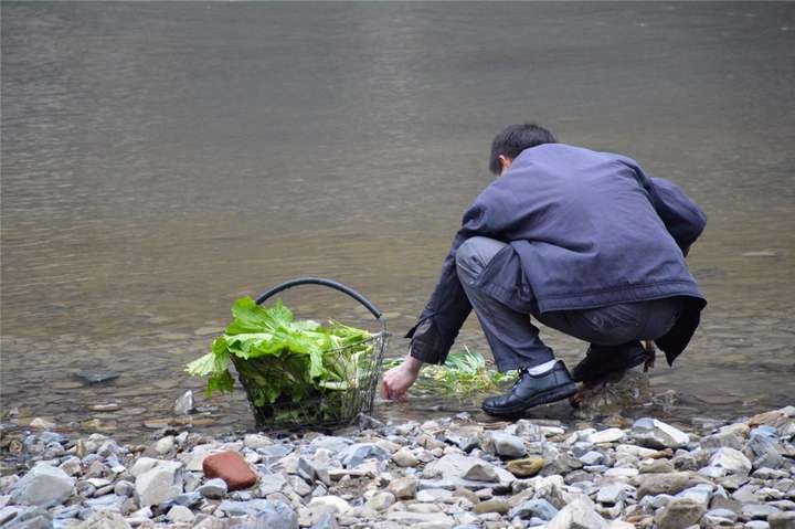 铁线虫是什么生物（铁线虫到底有多可怕）