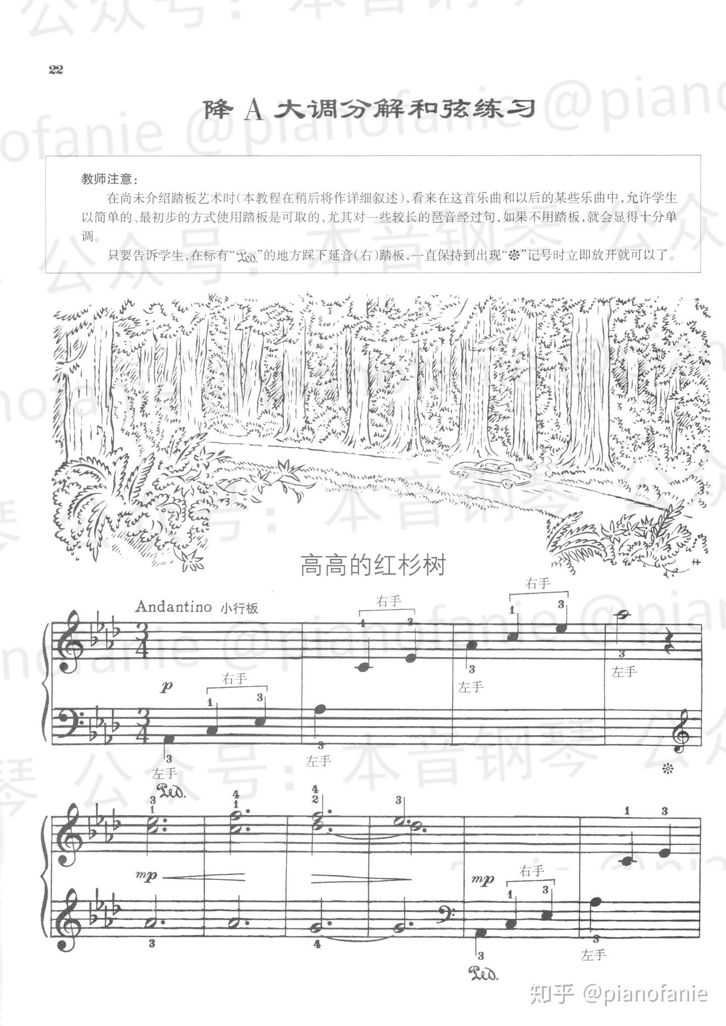 课程 乐理知识讲重点第十二课 踏板 知乎