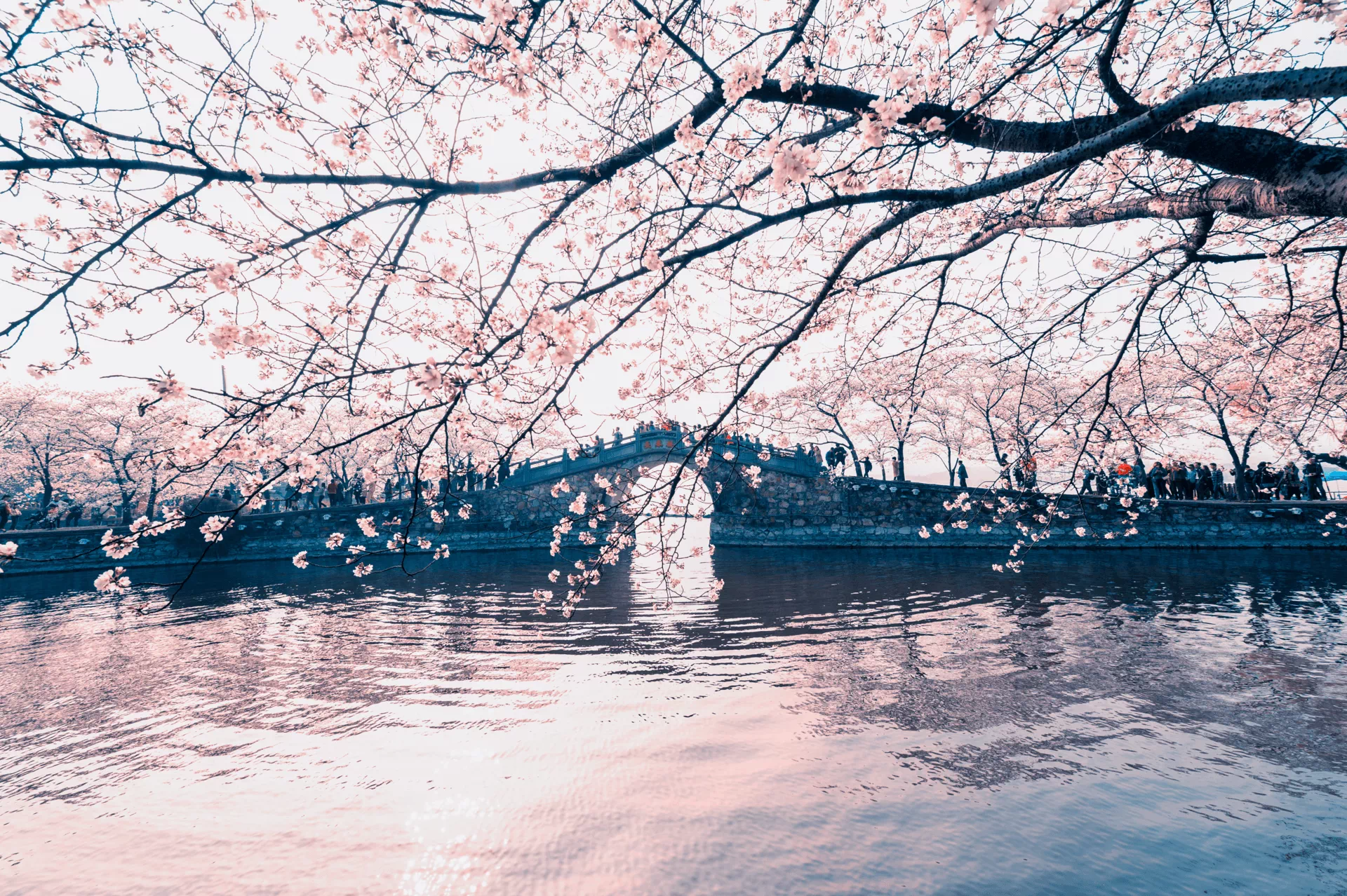 太阳底下无新鲜事 的想法: 30首春日诗词,杏花烟雨,草木生香,共赴