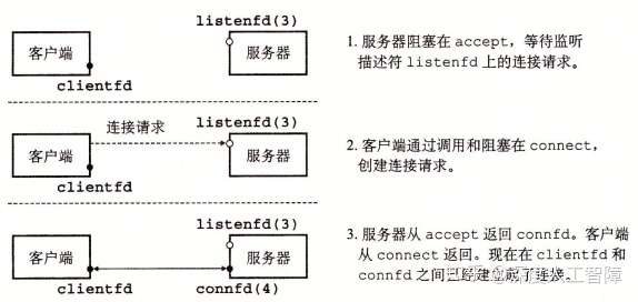 读书笔记:CSAPP 11章 网络编程