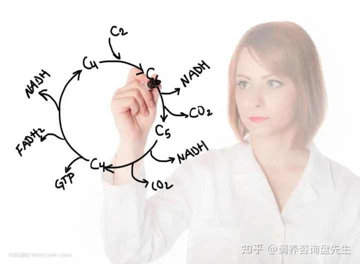 什么品牌的NADH、NMN可以讓長命更加長壽