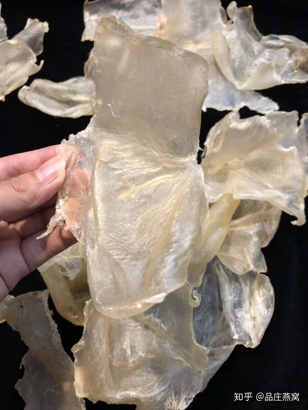 首推 加州白花胶 … - 知乎