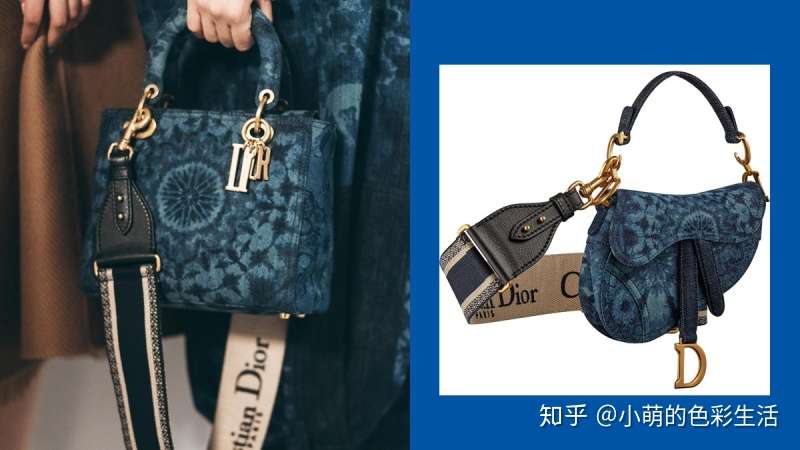 Dior 19 春夏包款总点名 迷幻 浪漫 还有点帅 知乎