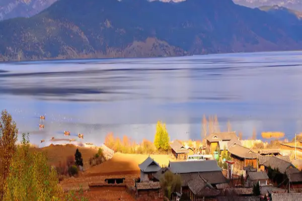 上海旅行社哪个好？-上海旅游公司排名前十名(图9)