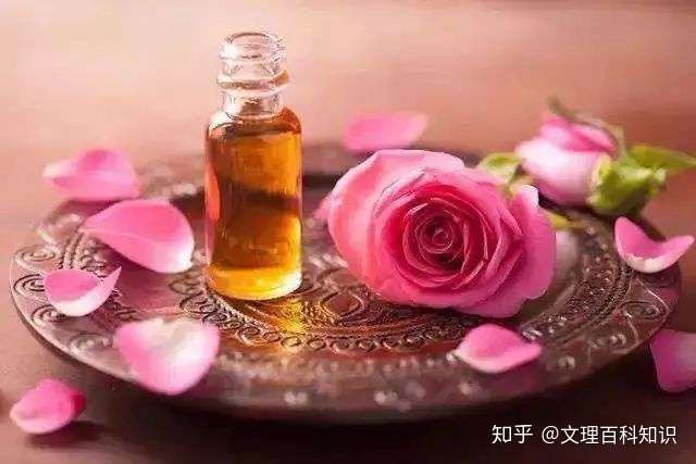 看到的是月季闻到的是蔷薇吃到的是玫瑰 知乎