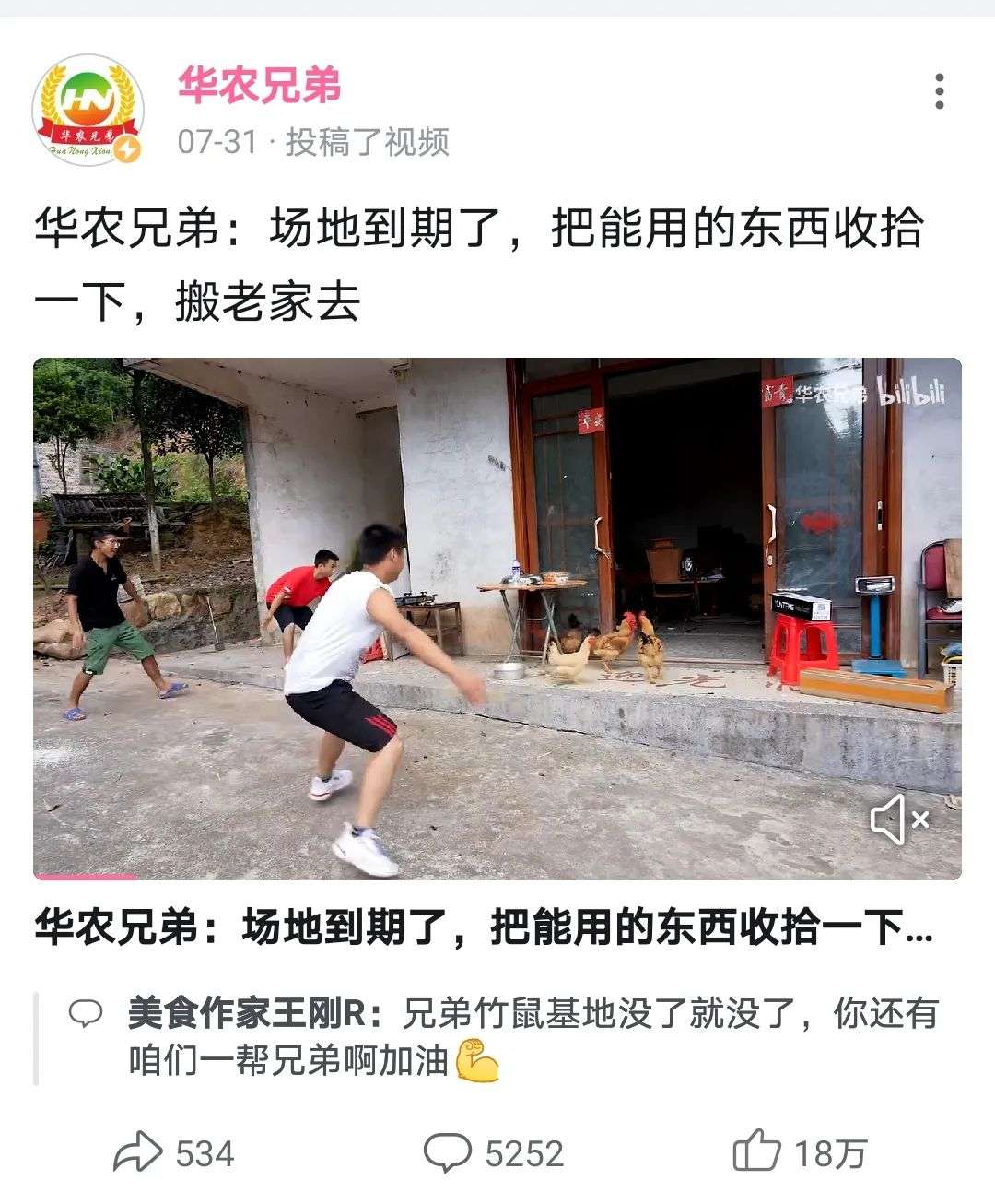 失去竹鼠后 华农兄弟们 现在怎么样了 知乎