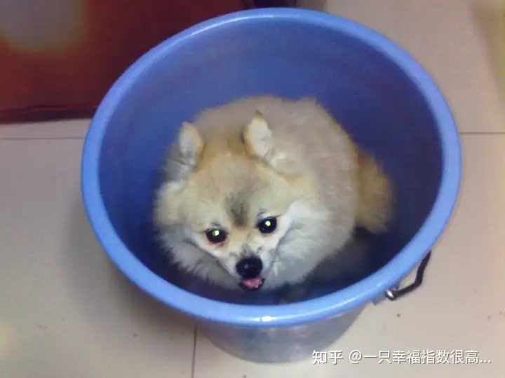 木桶浴丨木桶浴都有些什么服务