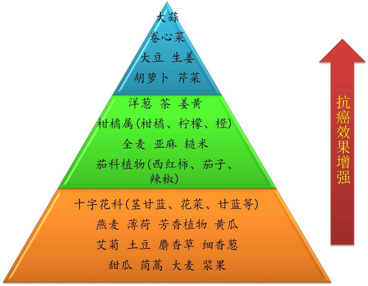 什么是抗癌食物金字塔 带你了解都有哪些食物具有抗癌性 知乎